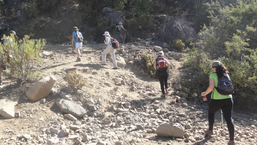 Conaf reabrió los sectores Granizo y Cajón Grande del Parque La Campana en Olmué