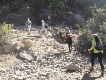 Conaf reabrió los sectores Granizo y Cajón Grande del Parque La Campana en Olmué