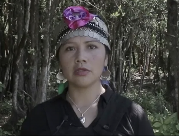 Primer voto contado en Chile fue para Natividad Llanquileo, candidata a constituyente del Pueblo Mapuche