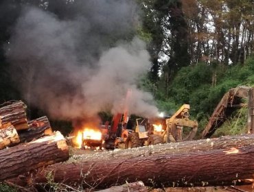 Nuevos ataques incendiarios en la Región de La Araucanía: Gobierno acusa terrorismo en la zona