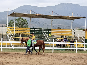 ¿Peligra el Centro de Hipoterapia de La Cruz? Alcaldesa electa aclara "mitos" en torno al futuro de este innovador tratamiento con caballos