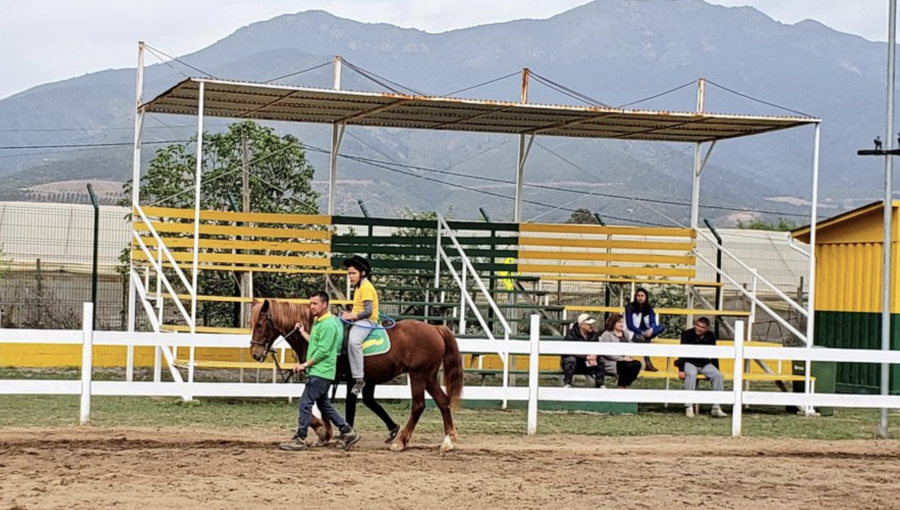 ¿Peligra el Centro de Hipoterapia de La Cruz? Alcaldesa electa aclara "mitos" en torno al futuro de este innovador tratamiento con caballos