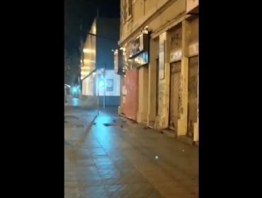 Registran plaga de ratones en local comercial en Av. Pedro Montt de Valparaíso