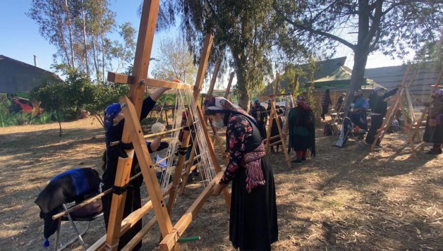 15 tejedoras de Villa Alemana serán parte de la confección del telar mapuche más grande del mundo para alcanzar los Récords Guinness