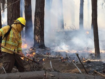 Contienen incendio forestal que ha consumido 4,18 hectáreas en la Reserva Lago Peñuelas