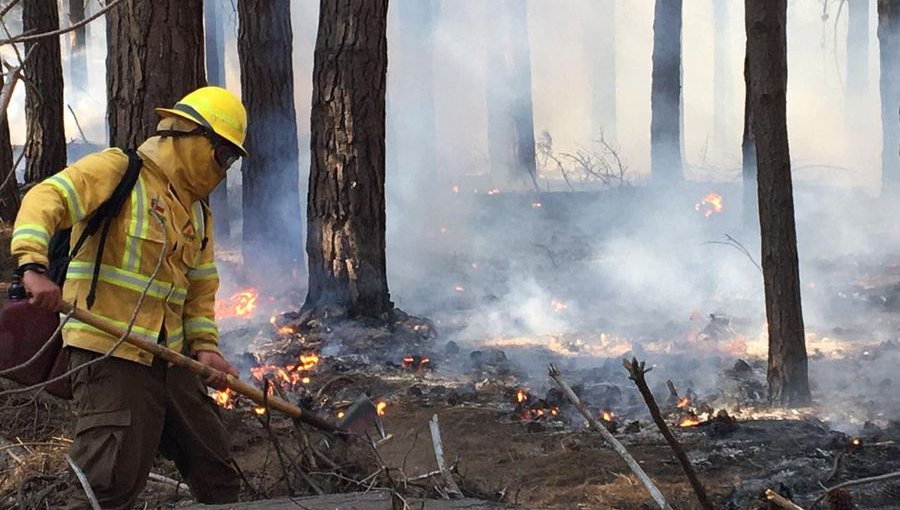 Contienen incendio forestal que ha consumido 4,18 hectáreas en la Reserva Lago Peñuelas