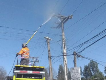 Lavado de aislación: eliminan residuos en más de 13 mil estructuras eléctricas de la provincia de Petorca