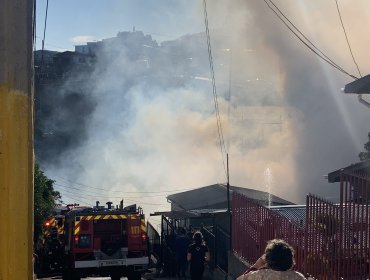 Incendio forestal amenaza a sector poblado de Miraflores Alto en Viña del Mar