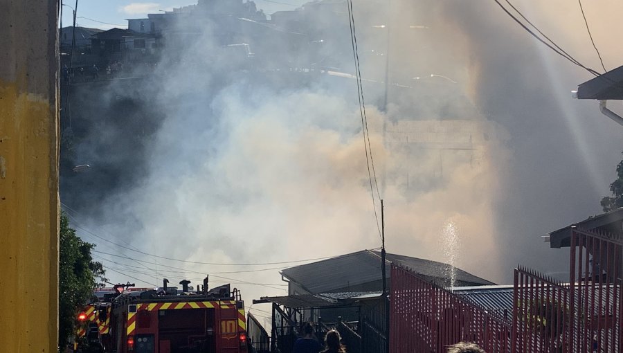 Incendio forestal amenaza a sector poblado de Miraflores Alto en Viña del Mar