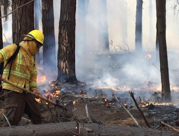 Controlan el incendio forestal en Reserva Lago Peñuelas y decretan Alerta Amarilla para Valparaíso