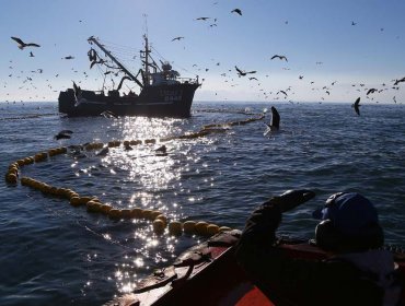 Cámara despacha a ley proyecto que establece cuotas de género en pesca artesanal