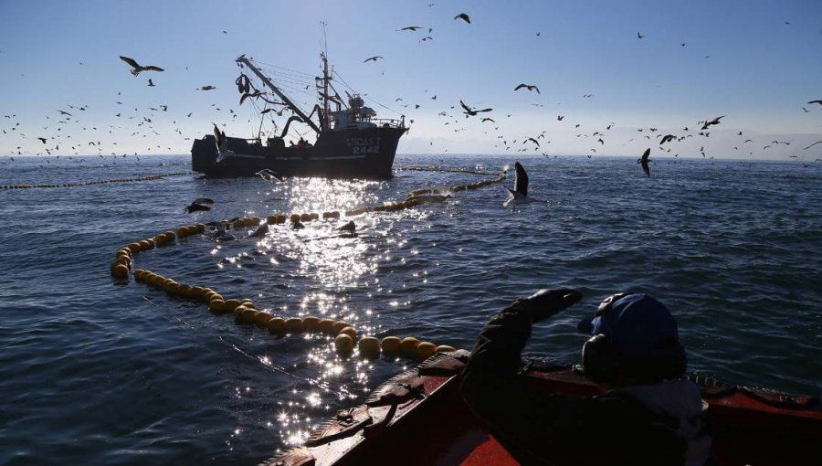 Cámara despacha a ley proyecto que establece cuotas de género en pesca artesanal