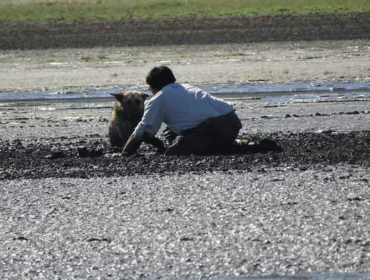 Brigadista de Conaf contó cómo salvó a perrita atrapada en el fango y rodeada de jotes en Valparaíso