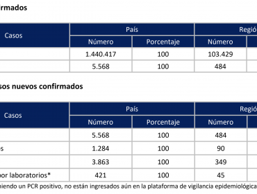 Tasa de positividad en la región de Valparaíso es levemente superior a la nacional: 484 casos nuevos