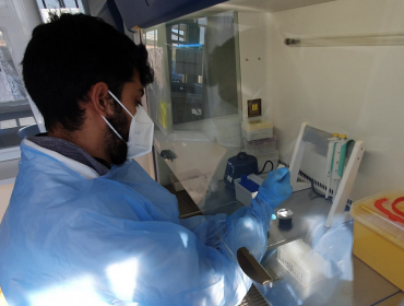 Laboratorio Molecular de Quillota ahora puede detectar el Covid-19 mediante muestras de saliva