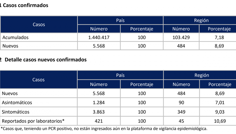 Tasa de positividad en la región de Valparaíso es levemente superior a la nacional: 484 casos nuevos