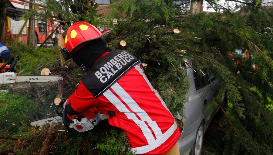 Destrozos, anegamientos y caídas de árbol deja temporal de lluvias y vientos de hasta 100km/hr en el sur del país