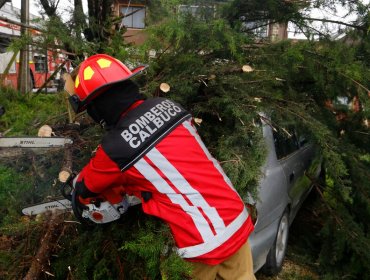 Destrozos, anegamientos y caídas de árbol deja temporal de lluvias y vientos de hasta 100km/hr en el sur del país