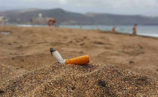 Aprueban por unanimidad legislar proyecto sobre contaminación de cigarrillos en playas