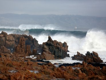 Refuerzan llamado a la precaución y el autocuidado ante fuertes marejadas en Viña del Mar