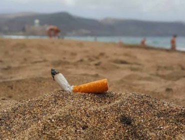 Aprueban por unanimidad legislar proyecto sobre contaminación de cigarrillos en playas