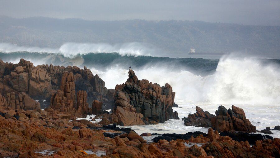 Refuerzan llamado a la precaución y el autocuidado ante fuertes marejadas en Viña del Mar