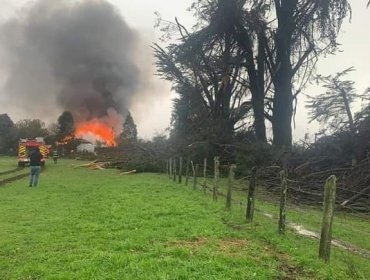 Tromba marina arrasó con todos los árboles de una plaza en Toltén y provocó incendio en vivienda