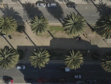 Mejoramiento de la Av. Brasil de Valparaíso apuntará a pavimentos, paisajismo y accesibilidad universal