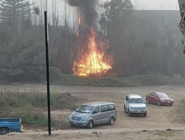 Hombre fue detenido por iniciar incendio que afectó a ruka ubicada en la ladera del estero de Viña del Mar