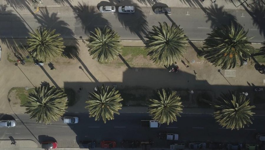 Mejoramiento de la Av. Brasil de Valparaíso apuntará a pavimentos, paisajismo y accesibilidad universal