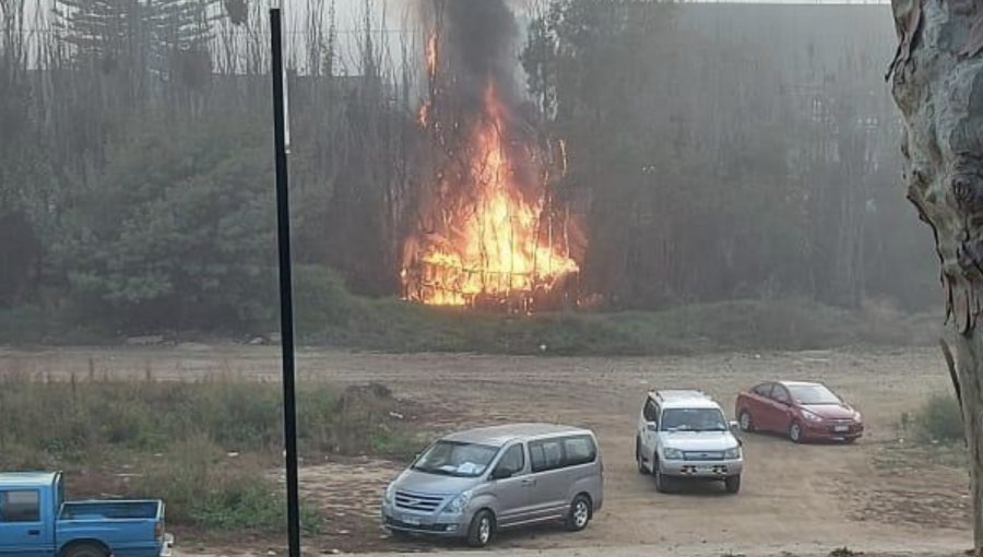 Hombre fue detenido por iniciar incendio que afectó a ruka ubicada en la ladera del estero de Viña del Mar