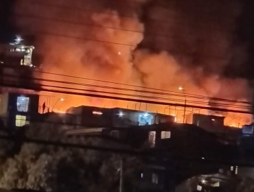 Incendio de gran magnitud consume viviendas de material ligero en campamento de Antofagasta