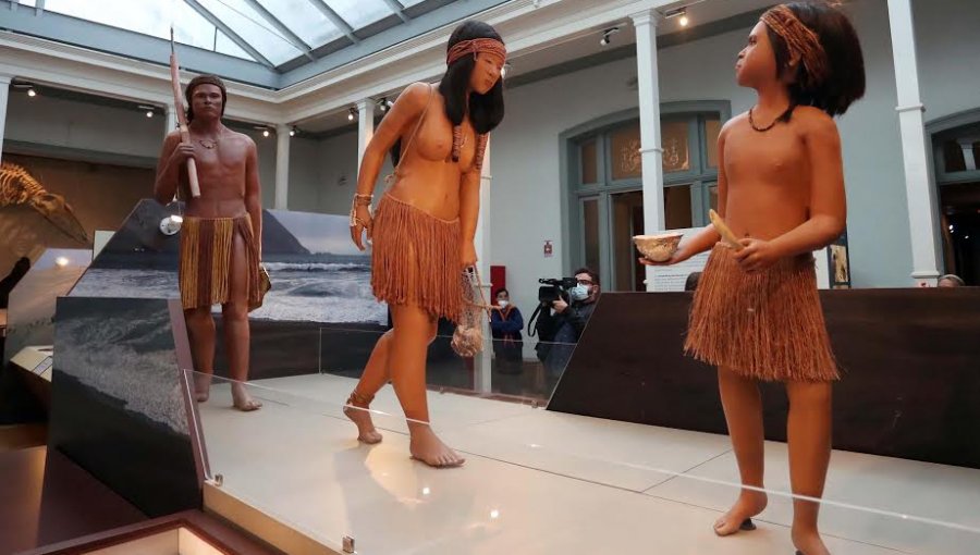 Museo de Historia Natural de Valparaíso volverá a abrir sus puertas al público