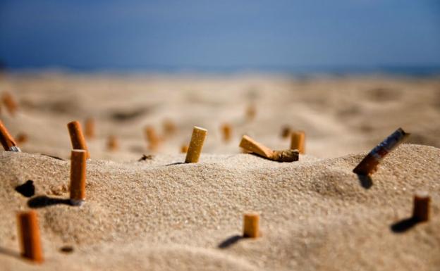 Comisión de Medio Ambiente aprueba prohibición de fumar en playas, ríos y lagos