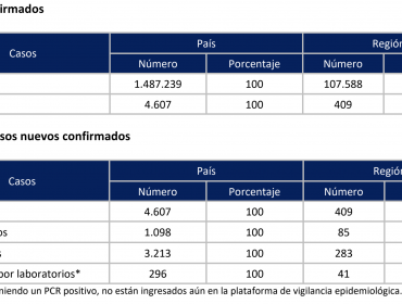 La pandemia en la región de Valparaíso: 409 nuevos contagios y positividad sobre el promedio nacional