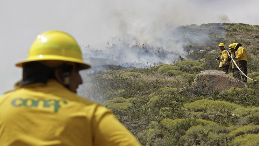 Conaf y PUCV firman convenio para educación en prevención de incendios forestales