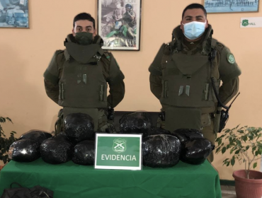 Control carretero termina con decomiso de 16 kilos de marihuana en Nogales