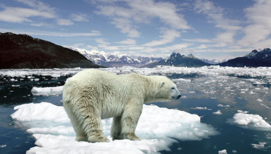 Estudio científico advierte que el cambio climático reduce la capa de ozono en el Ártico