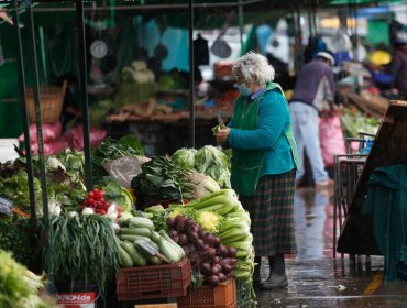 Contraloría ordena pagar el Bono Pyme a todos los feriantes que tengan al día su permiso municipal