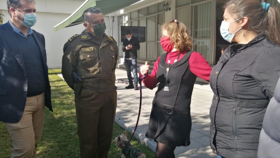 Perro recuperado tras ser víctima de robo con violencia visitó la Prefectura de Viña del Mar