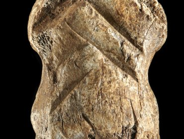 Descubren en Alemania un hueso de ciervo decorado hace más de 50 mil años por un neandertal