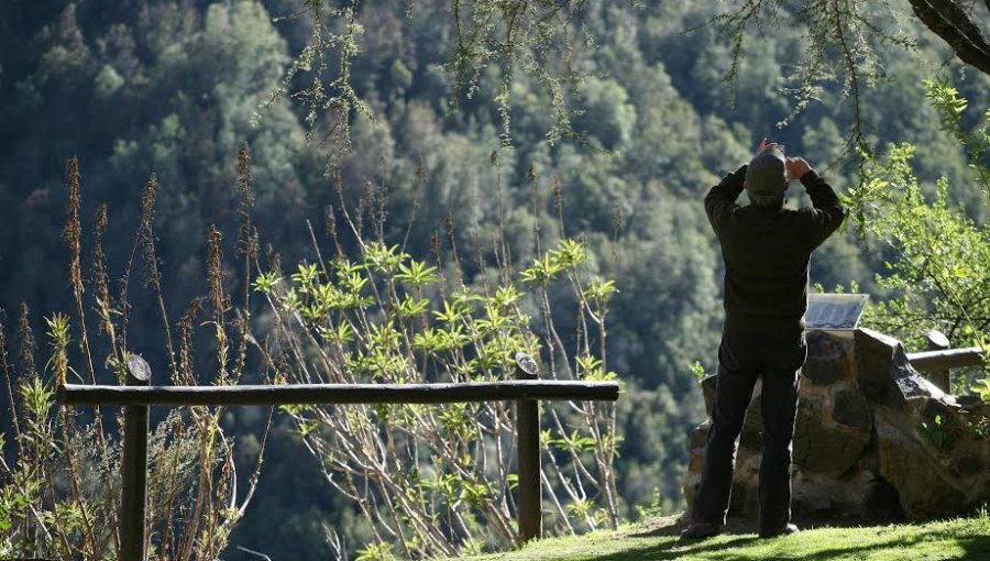 Aumentan a 250 personas el aforo máximo en el Parque Nacional La Campana