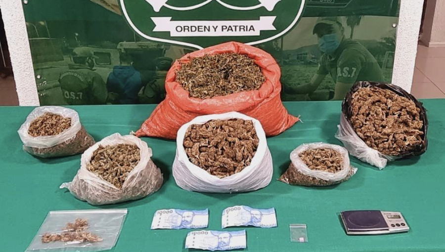 Allanamiento a domicilio de La Ligua termina con incautación de 5 kilos de marihuana y una pastilla de éxtasis