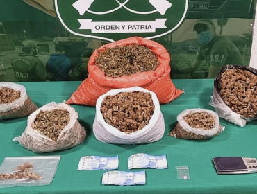 Allanamiento a domicilio de La Ligua termina con incautación de 5 kilos de marihuana y una pastilla de éxtasis