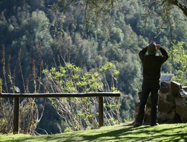 Aumentan a 250 personas el aforo máximo en el Parque Nacional La Campana