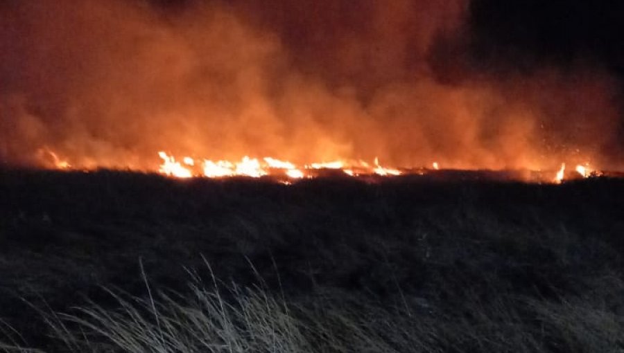 Declaran Alerta Roja para la comuna de Isla de Pascua por incendio forestal: 50 hectáreas consumidas