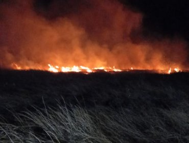 Declaran Alerta Roja para la comuna de Isla de Pascua por incendio forestal: 50 hectáreas consumidas