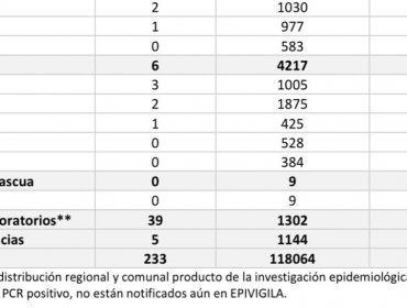Conozca de qué comunas son los 233 casos nuevos de coronavirus en la región de Valparaíso