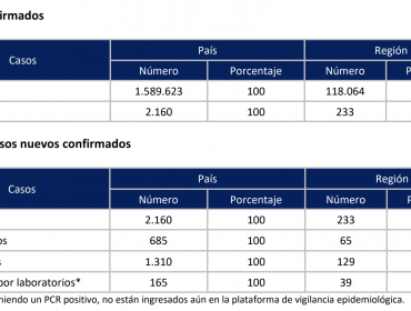 233 casos nuevos y otros 10 fallecidos por Covid-19 informa la región de Valparaíso