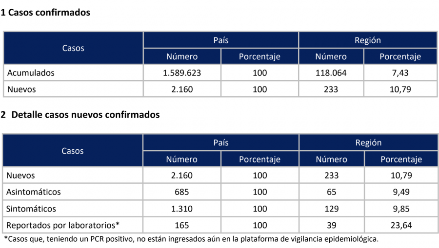 233 casos nuevos y otros 10 fallecidos por Covid-19 informa la región de Valparaíso